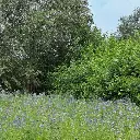 IMG_4378 vierkant.webp