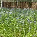 IMG_4379 vierkant.webp