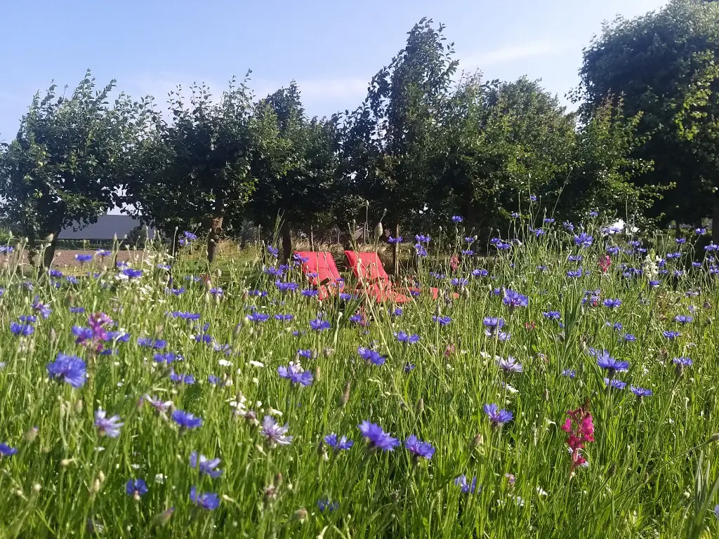 Pauli van Gaalen1.webp