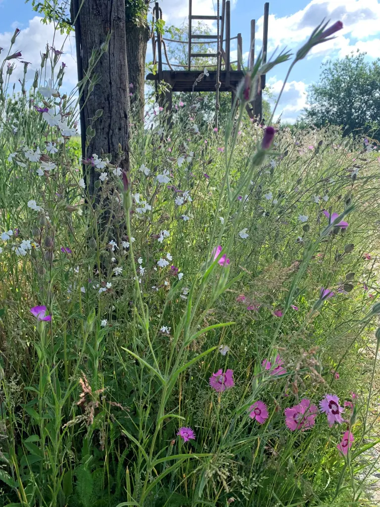 romantic thuis 2022.webp