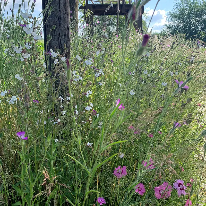 romantic thuis 2022 (1).webp