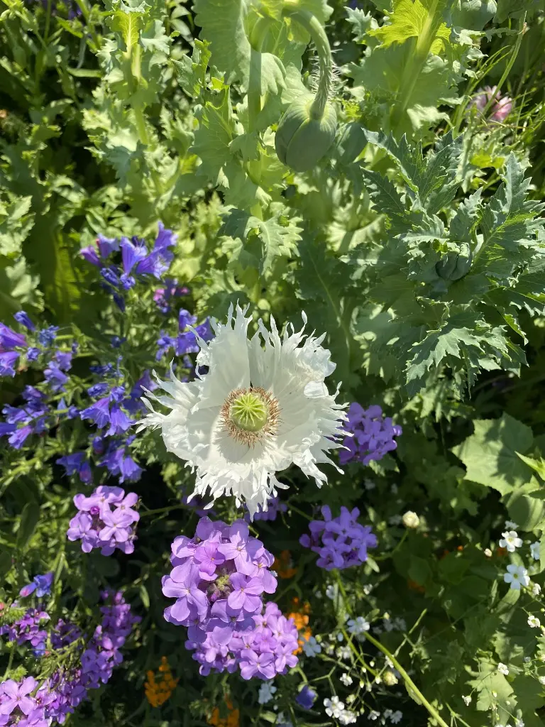 Nostalgie_C_8.6.2021 (4).webp