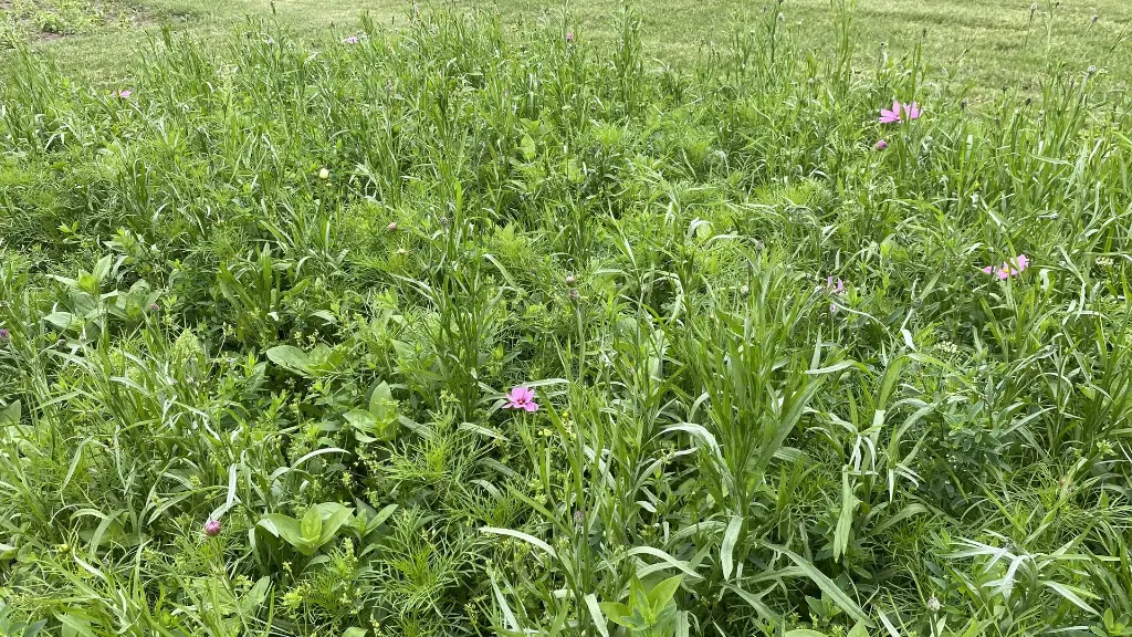 Festival_29.6.2021 (2).webp