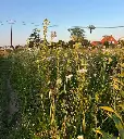 Kruidenweide 1 Lichte gronden